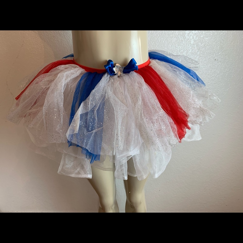 Tutu adult costume.